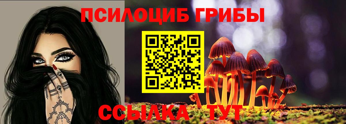 Кунгур  Галлюциногенные грибы Psilocybe  Вход с VPN 